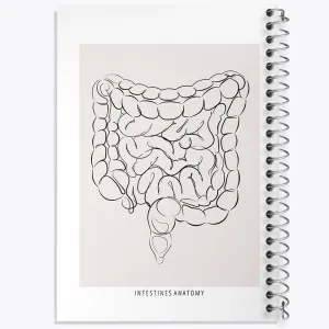 دفتر آناتومی روده (Intestines Anatomy)