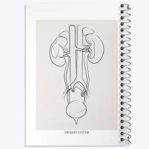 دفتر سیستم ادراری (Urinary System)