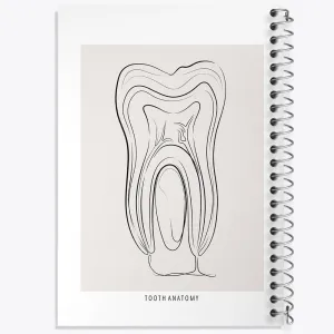 دفتر آناتومی دندان (Tooth Anatomy)