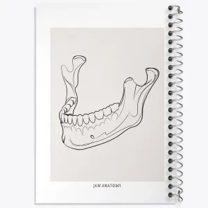 دفتر آناتومی فک (Jaw Anatomy)