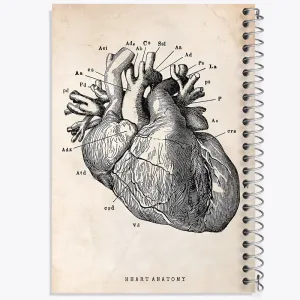دفتر آناتومی قلب (Heart Anatomy)