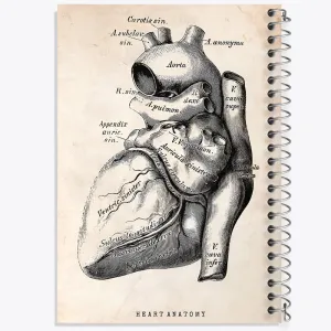 دفتر آناتومی قلب (Heart Anatomy)