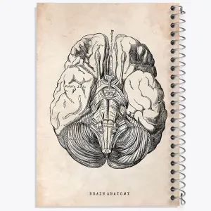 دفتر آناتومی مغز (Brain Anatomy)