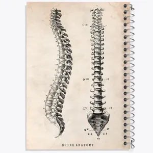 دفتر آناتومی ستون فقرات (Spine Anatomy)