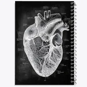 دفتر آناتومی قلب (Heart Anatomy)
