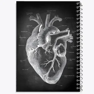 دفتر آناتومی قلب (Heart Anatomy)
