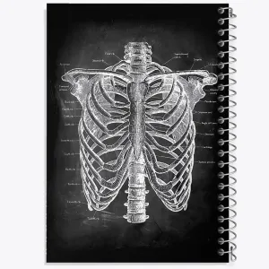 دفتر آناتومی قفسه سینه (Rib Cage Anatomy)
