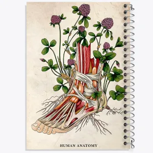 دفتر آناتومی پا (Foot Anatomy)