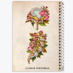 دفتر مهره های کمری (Lumbary Vertebrae)