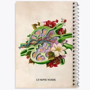دفتر گره لنفاوی (Lymph Node)