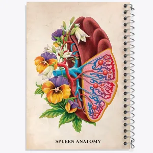 دفتر آناتومی طحال (Spleen Anatomy)