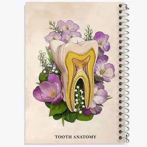 دفتر آناتومی دندان (Tooth Anatomy)