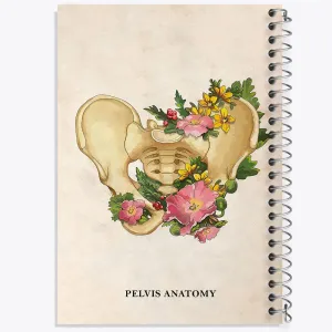 دفتر آناتومی لگن (Pelvis Anatomy)
