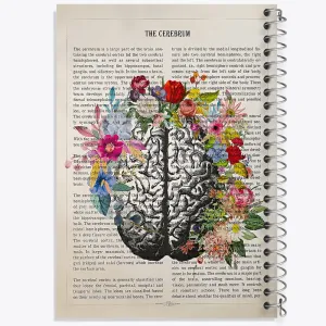 دفتر مغز (Brain)