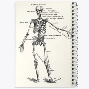 دفتر آناتومی انسان (Human Anatomy)