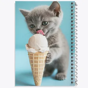 دفتر گربه و بستنی