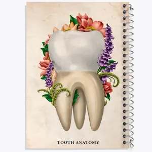 دفتر آناتومی دندان (Tooth Anatomy)