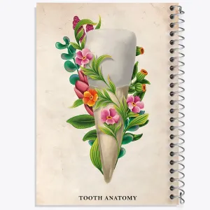 دفتر آناتومی دندان (Tooth Anatomy)