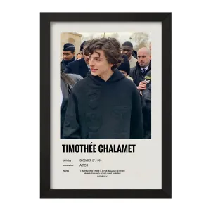 تابلو تیموتی شالامی (Timothée Chalamet)