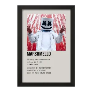 تابلو مارشملو (Marshmello)