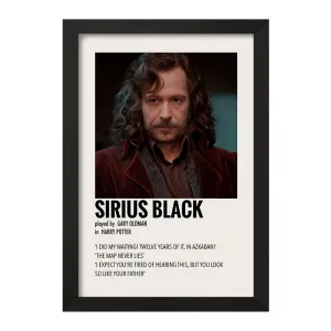 تابلو سیریوس بلک (Sirius Black)