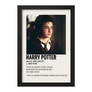 تابلو هری پاتر (Harry Potter)