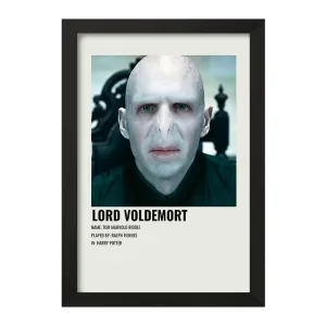 تابلو لرد ولدمورت (Lord Voldemort)
