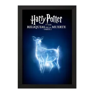 تابلو هری پاتر (Harry Potter)