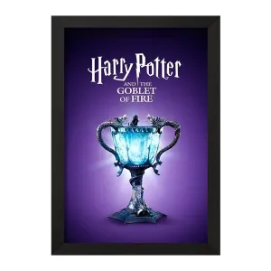 تابلو هری پاتر (Harry Potter)