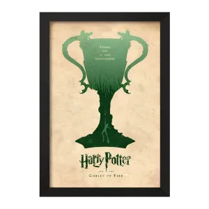 تابلو هری پاتر (Harry Potter)