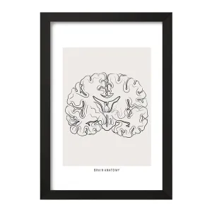 تابلو آناتومی مغز (Brain Anatomy)