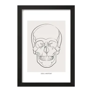 تابلو آناتومی اسکلت سر (Skull Anatomy)