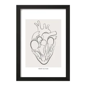 تابلو آناتومی قلب (Heart Anatomy)