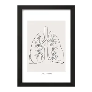 تابلو آناتومی ریه ها (Lungs Anatomy)