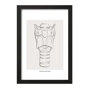 تابلو آناتومی حنجره (Larynx Anatomy)