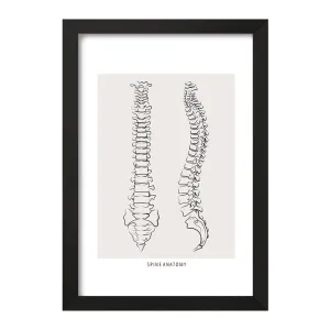 تابلو آناتومی ستون فقرات (Spine Anatomy)