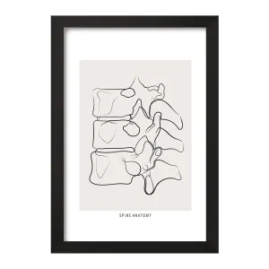 تابلو آناتومی ستون فقرات (Spine Anatomy)