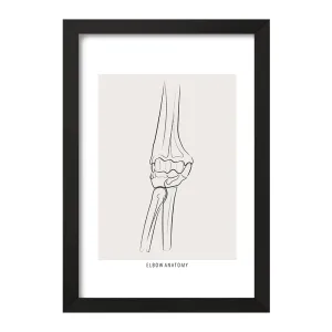 تابلو آناتومی آرنج (Elbow Anatomy)