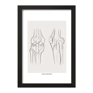 تابلو آناتومی زانو (knee Anatomy)