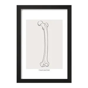 تابلو آناتومی استخوان ران (Femur Anatomy)
