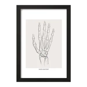 تابلو آناتومی دست (Hand Anatomy)