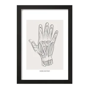 تابلو آناتومی دست (Hand Anatomy)