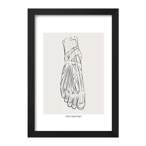تابلو آناتومی پا (Foot Anatomy)