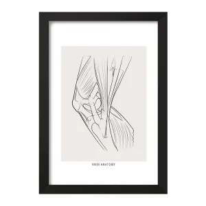 تابلو آناتومی زانو (Knee Anatomy)