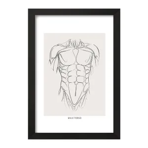 تابلو آناتومی بدن (Body Anatomy)