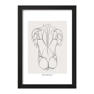تابلو آناتومی بدن (Body Anatomy)