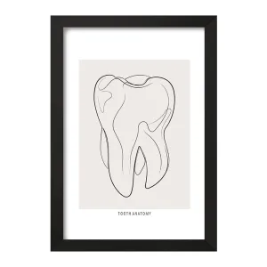 تابلو آناتومی دندان (Tooth Anatomy)