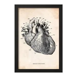 تابلو آناتومی قلب (Heart Anatomy)