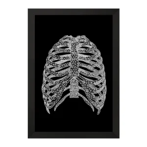 تابلو قفسه سینه (Rib Cage)