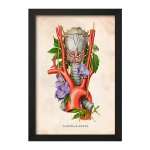 تابلو حنجره و آئورت (Larynx And Aorta)